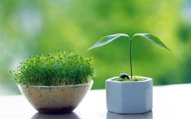 بایدها و نبایدهای تغییر دکوراسیون خانه برای سال نو (از زبان کارشناسان)
